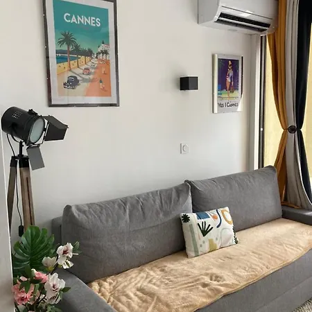 Profitez Du Festival Du Soleil De Cannes