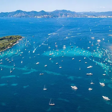 Profitez Du Festival Du Soleil De *