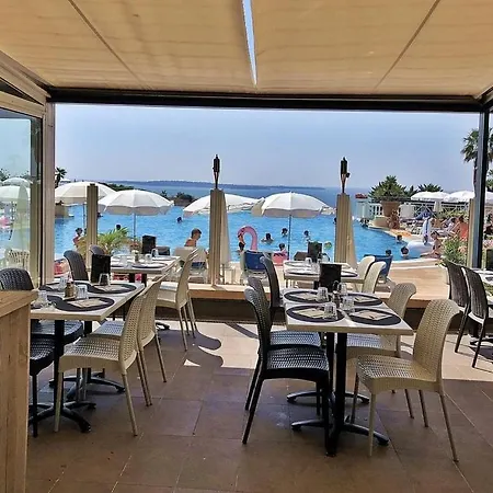 Profitez Du Festival Du Soleil De Apartment Cannes
